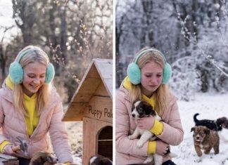 Uništila je kućicu za štence — ali nije znala šta je ostavila iza sebe