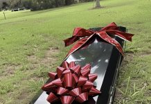 Na mom vjenčanju donijeli su kovčeg — istina unutra je sve promijenila