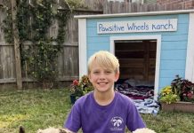 Mislila je da je sve gotovo — ali priča je tek počela