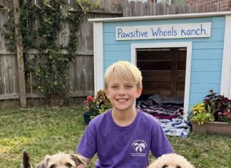 Mislila je da je sve gotovo — ali priča je tek počela