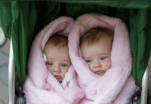 Okrenula sam se na minut — a moje bebe su nestale