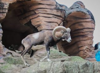 The end of august could reveal something important for aries