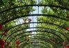 The Secret Garden That Attracts You Most Could Reveal Your Deepest Emotional Wish!